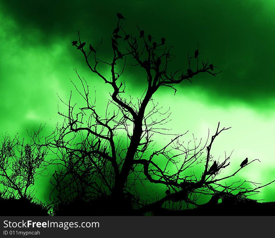 A lot of birds sitting on a silhouetted tree with an attractive sky background. A lot of birds sitting on a silhouetted tree with an attractive sky background.