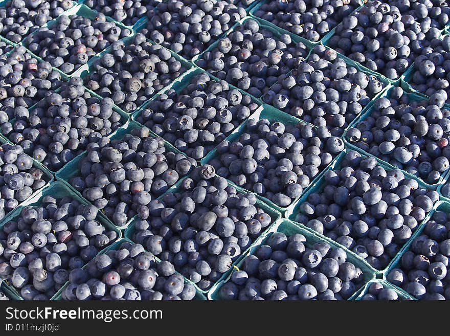 Photo of bunches of blueberries. Horizontally framed photos. Photo of bunches of blueberries. Horizontally framed photos.