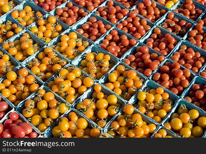 Photo of tomatoes. Horizontally framed photo. Photo of tomatoes. Horizontally framed photo.