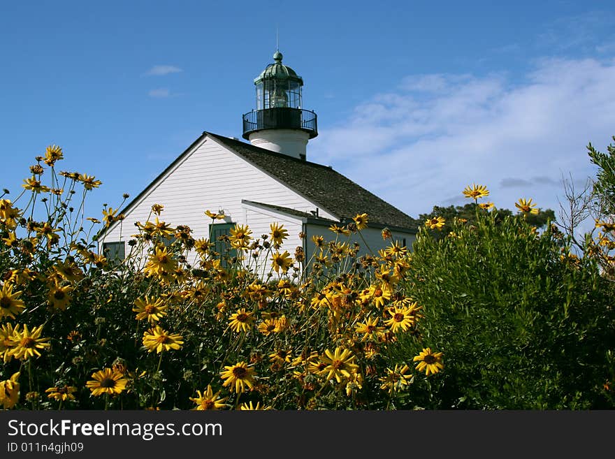 Point Loma Light In Spring