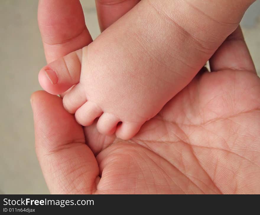 The little foot of daughter  in the big hand of father