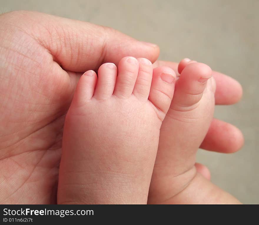 The little foot of daughter  in the big hand of father