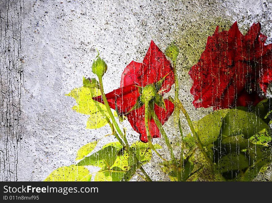 Grunge Floral Background. Background Collection.