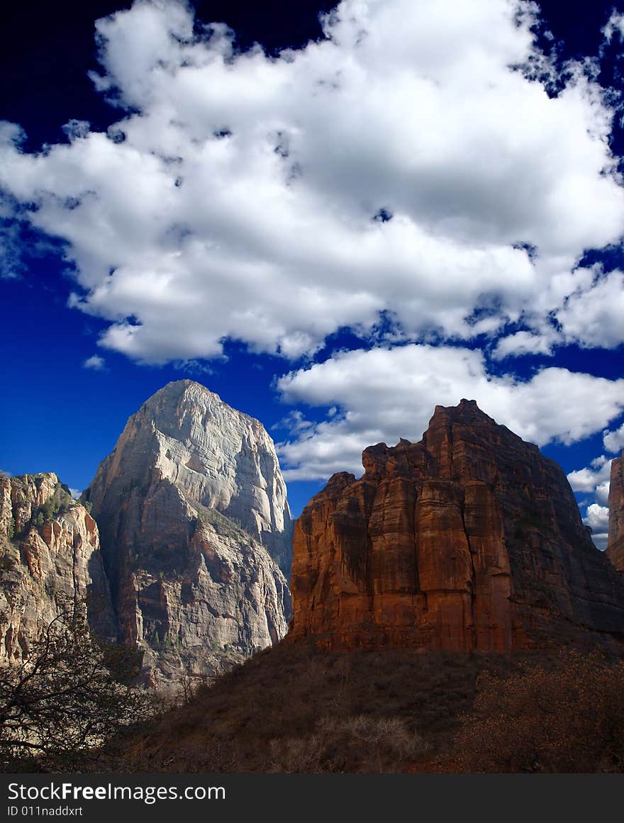 The Zion National Park