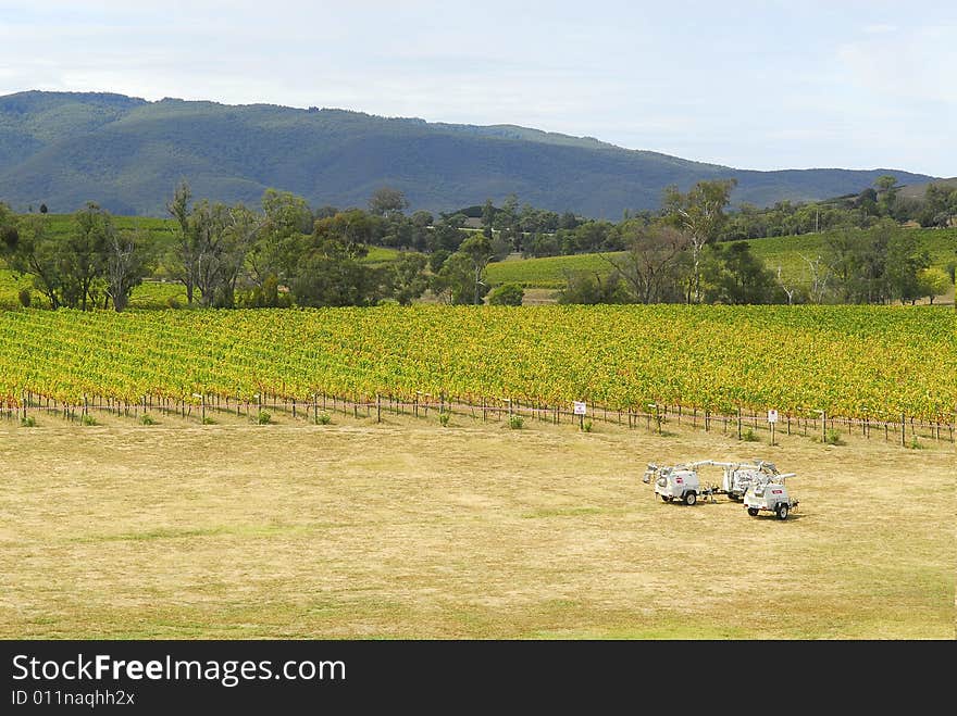 Vineyard Field with Trucks at the Front