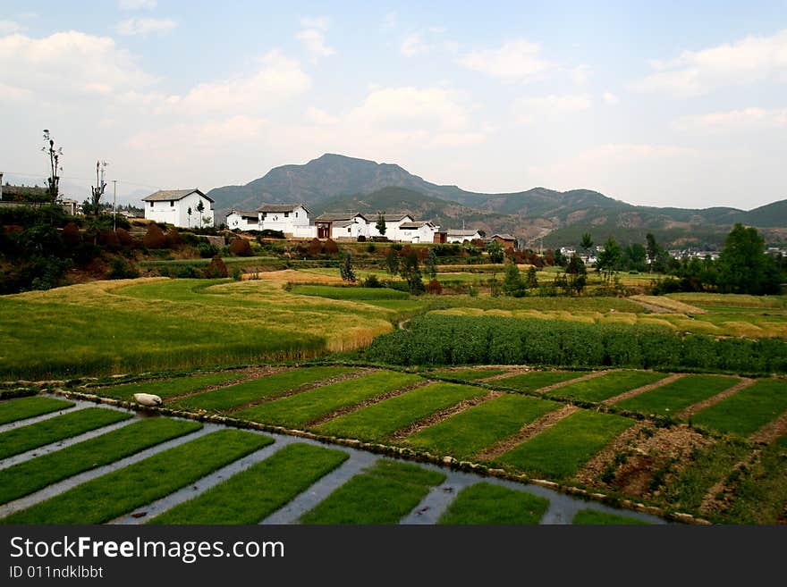 Rural Scenery