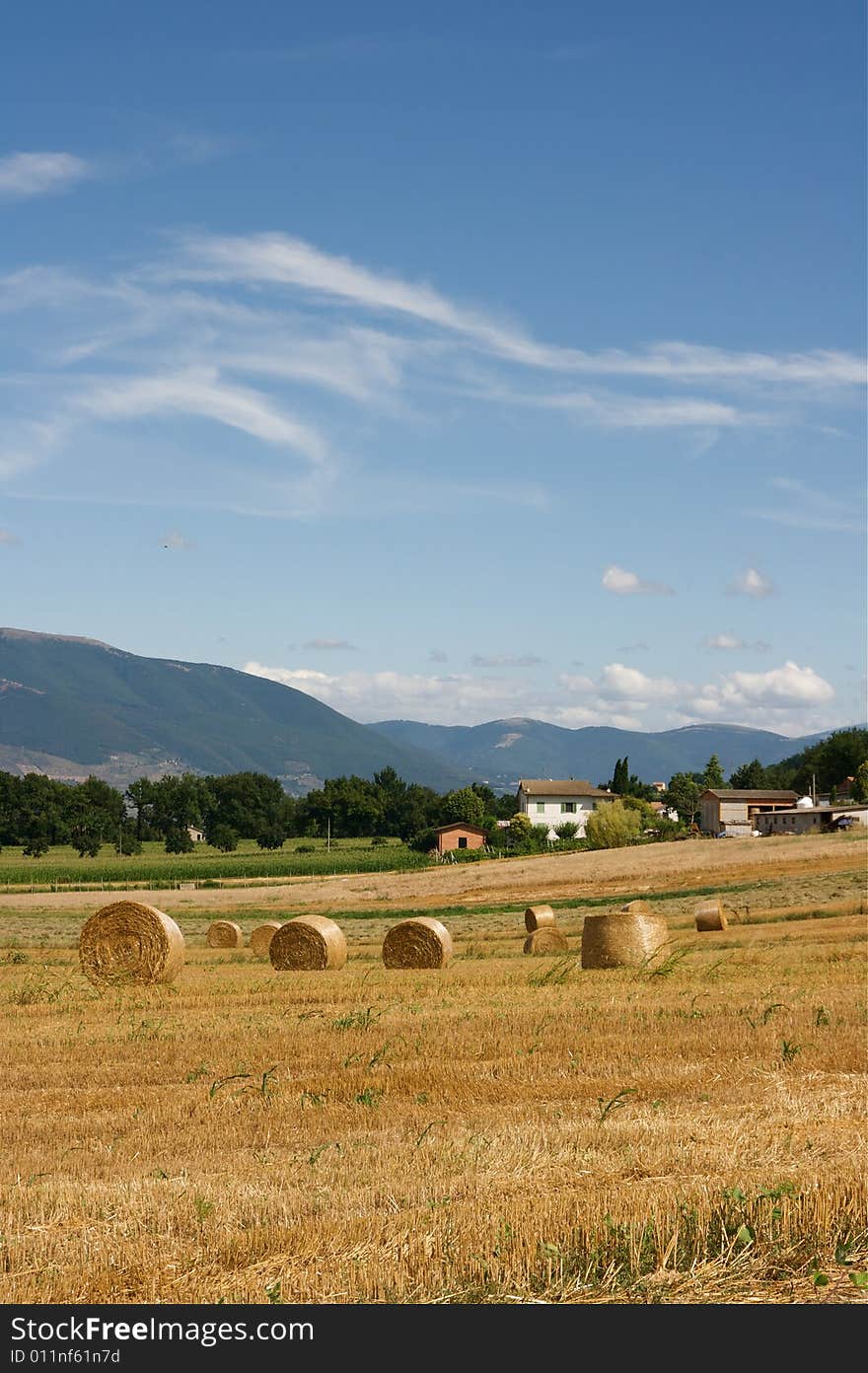 Hay Bales