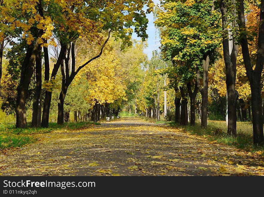 Autumn city park over clear blue sky. Autumn city park over clear blue sky