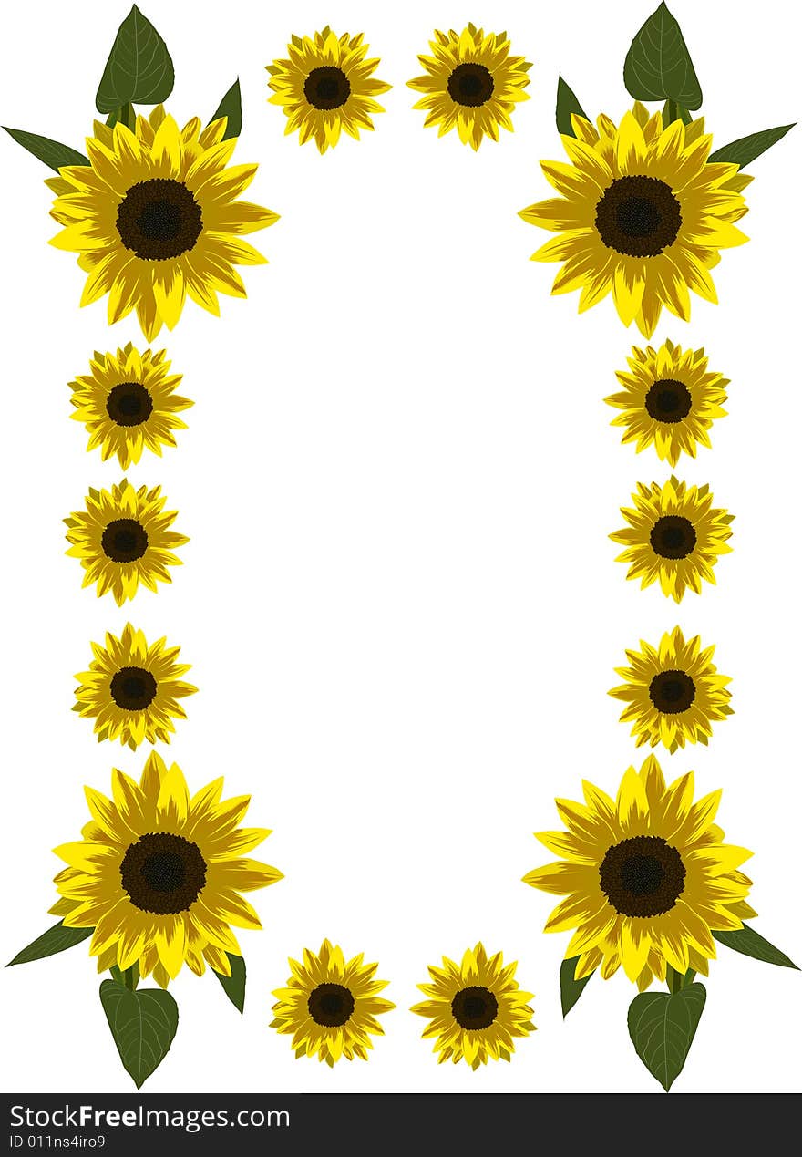 Frame of yellow sunflowers