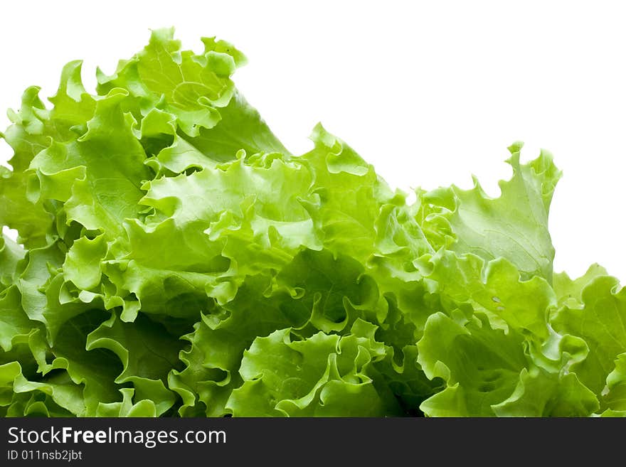 Leaves of lettuce