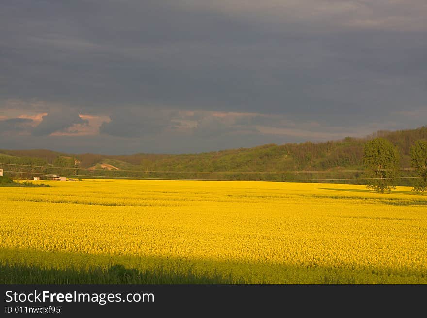 Landscape in a bad weather