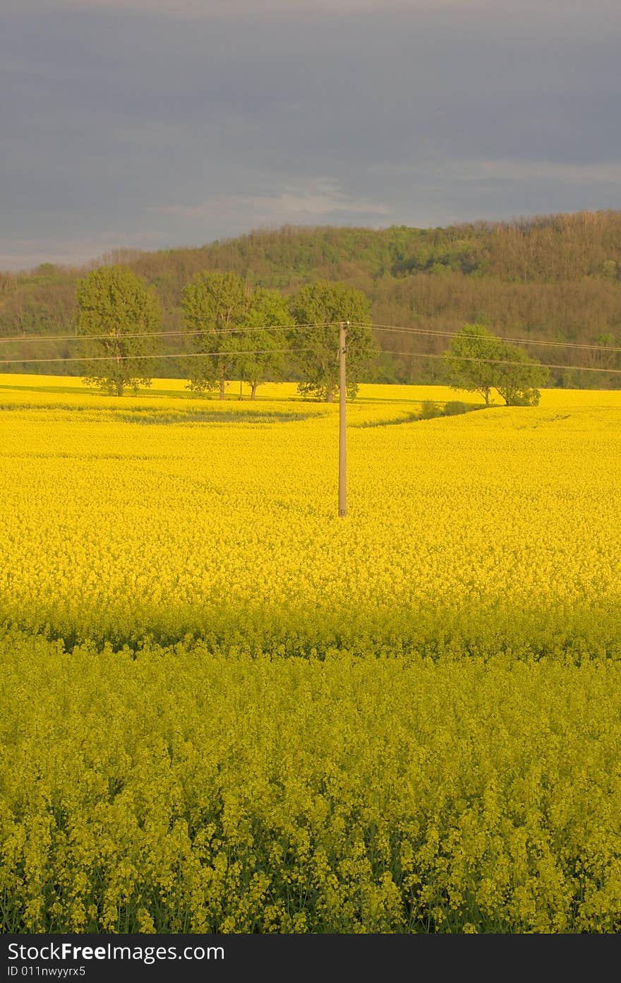 Landscape in a bad weather