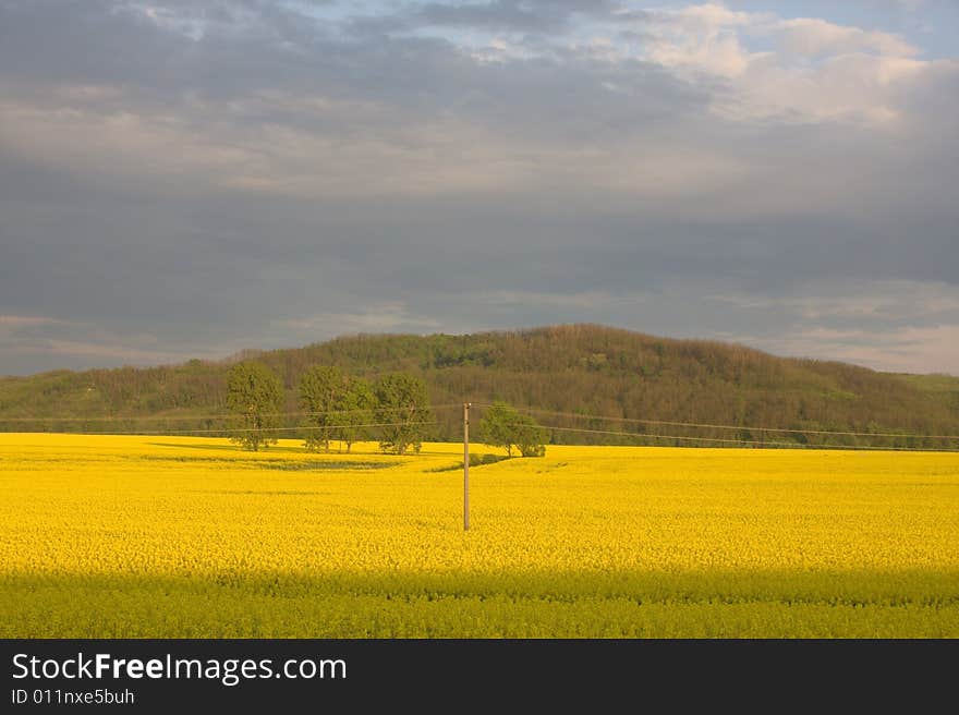 Landscape in a bad weather