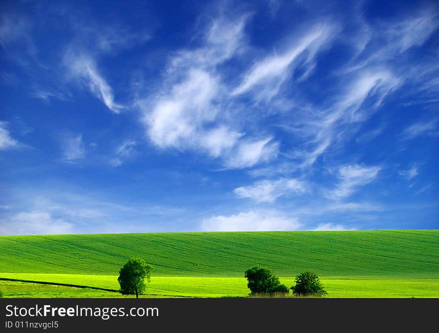 Field on a background of the blue sky