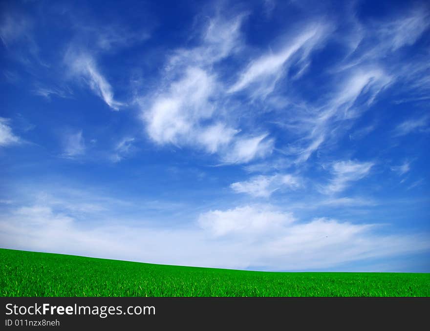 Field on a background of the blue sky