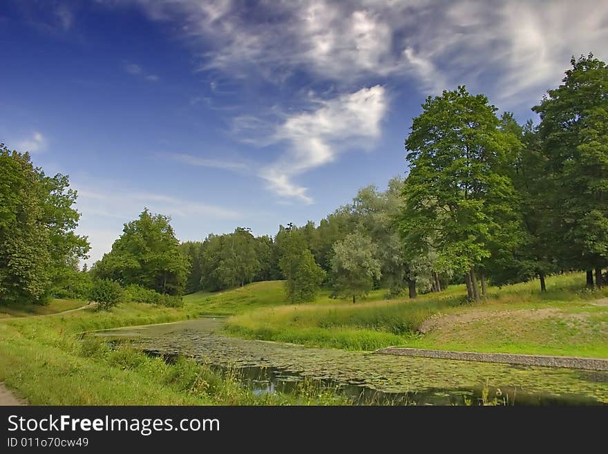 Landscape With Overgrown Pond