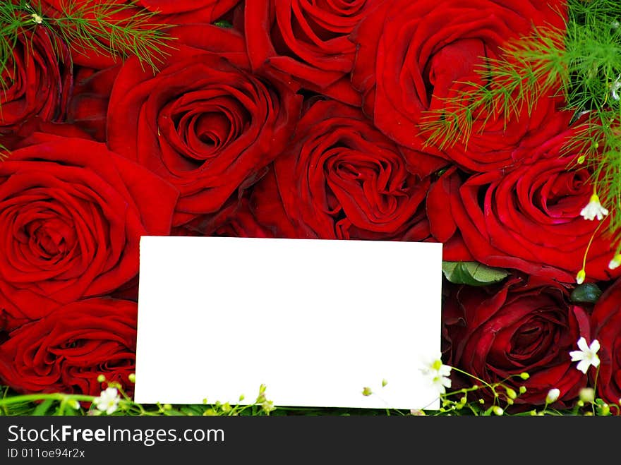 Message on a  rose  background. Message on a  rose  background