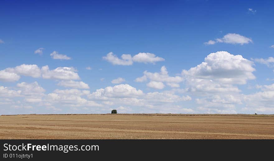 Landscape with tree on blue cloudy sky