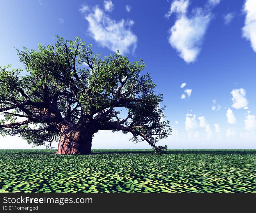 Beautiful landscape with lonely tree