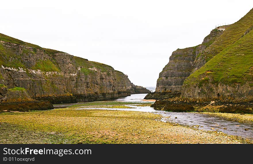 Dangerous cliffs covered with grass at low tide