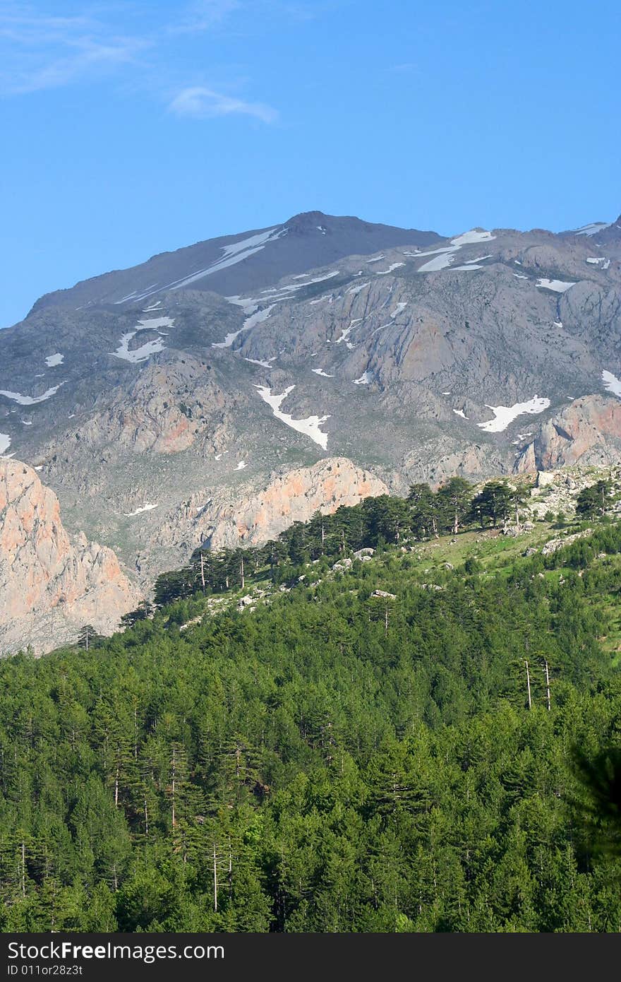 Mountains ands trees landscape under blue sky. Mountains ands trees landscape under blue sky