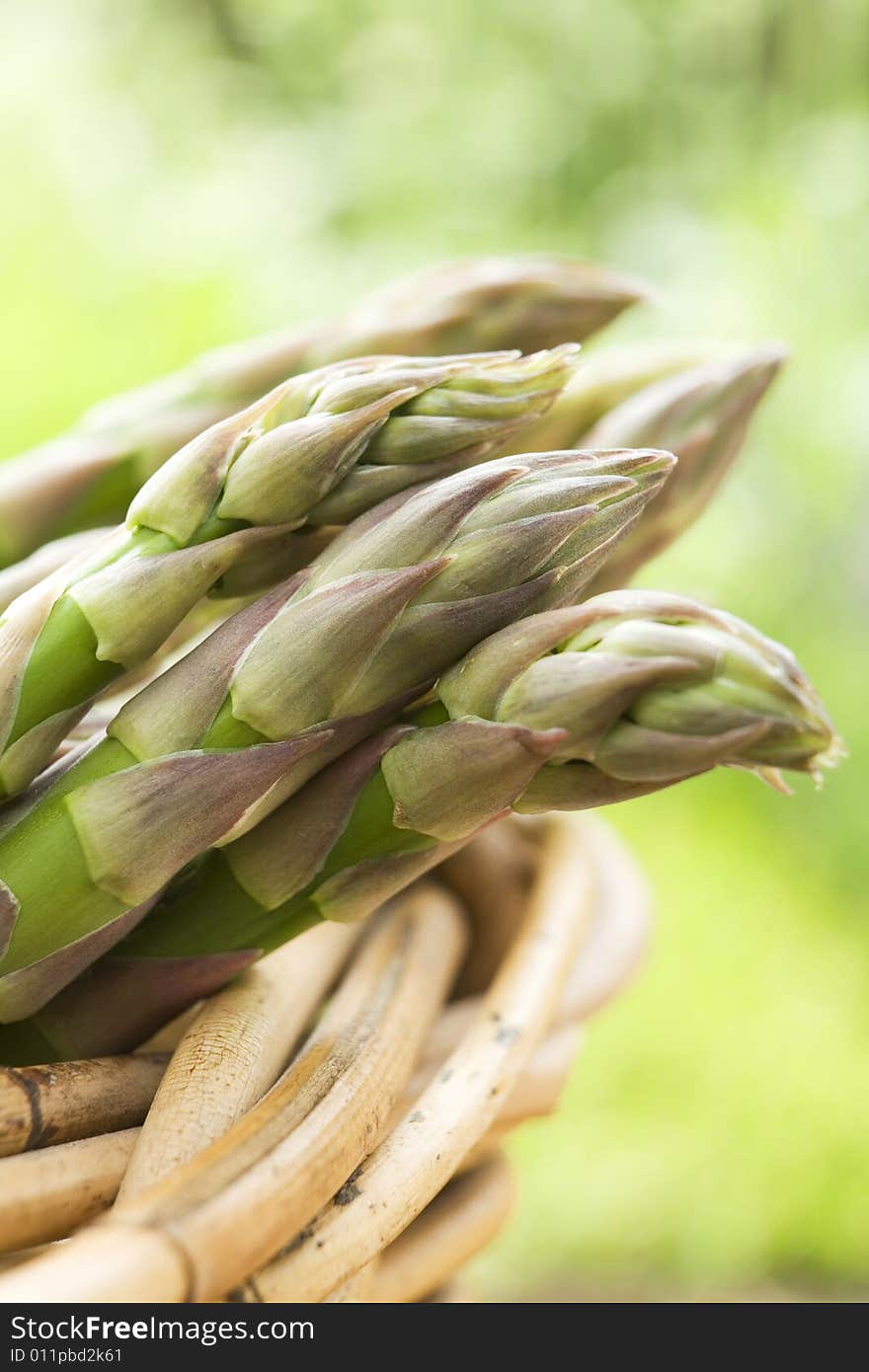 Bunch Of Asparagus In Basket