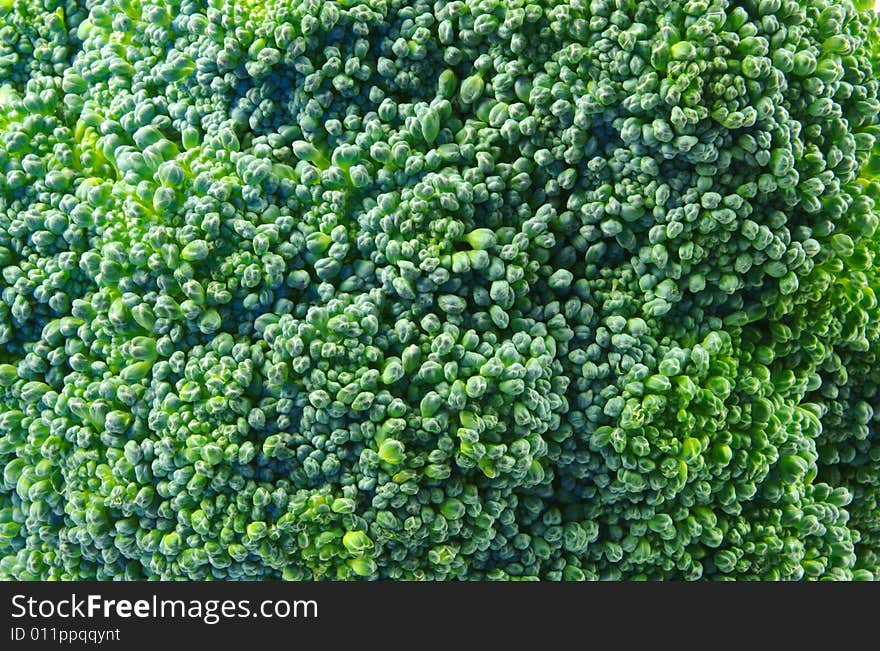 Broccoli Closeup