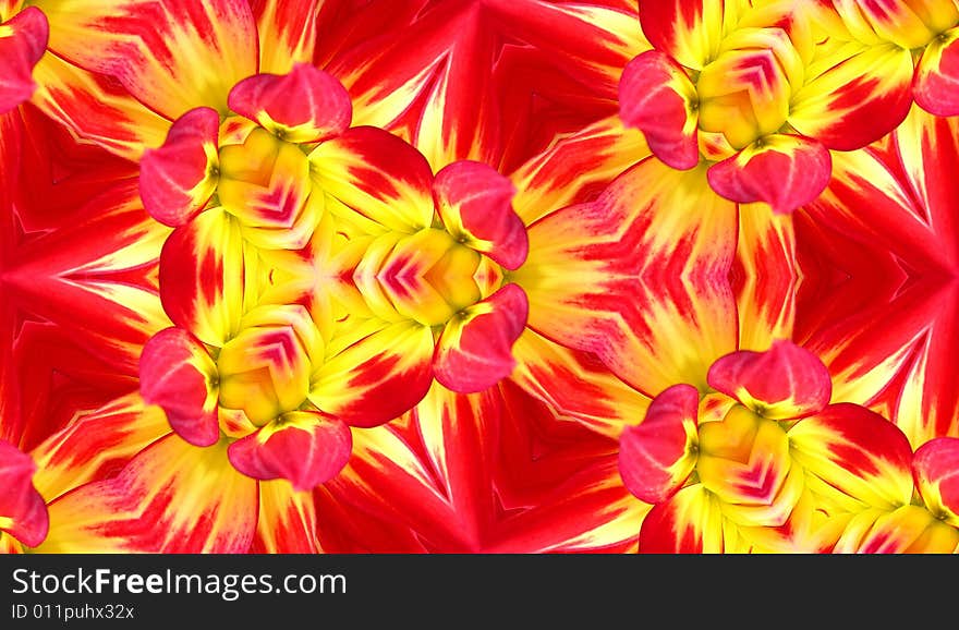 A seamless Dahlia flower pattern texture background. A seamless Dahlia flower pattern texture background.