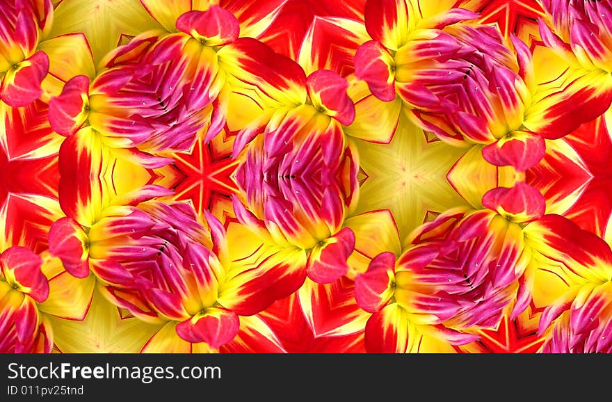 A seamless Dahlia flower pattern texture background. A seamless Dahlia flower pattern texture background.