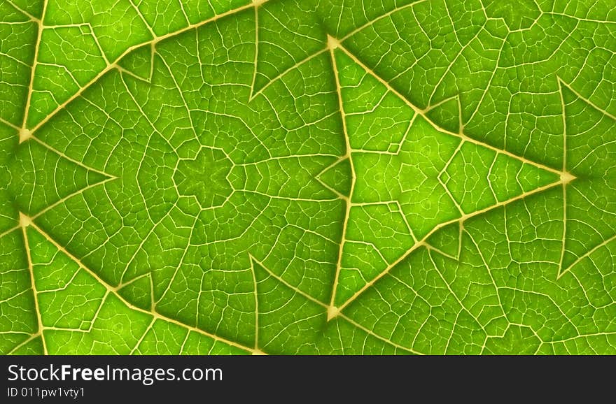 Underside Of Green Leaf Seamless Tile Background