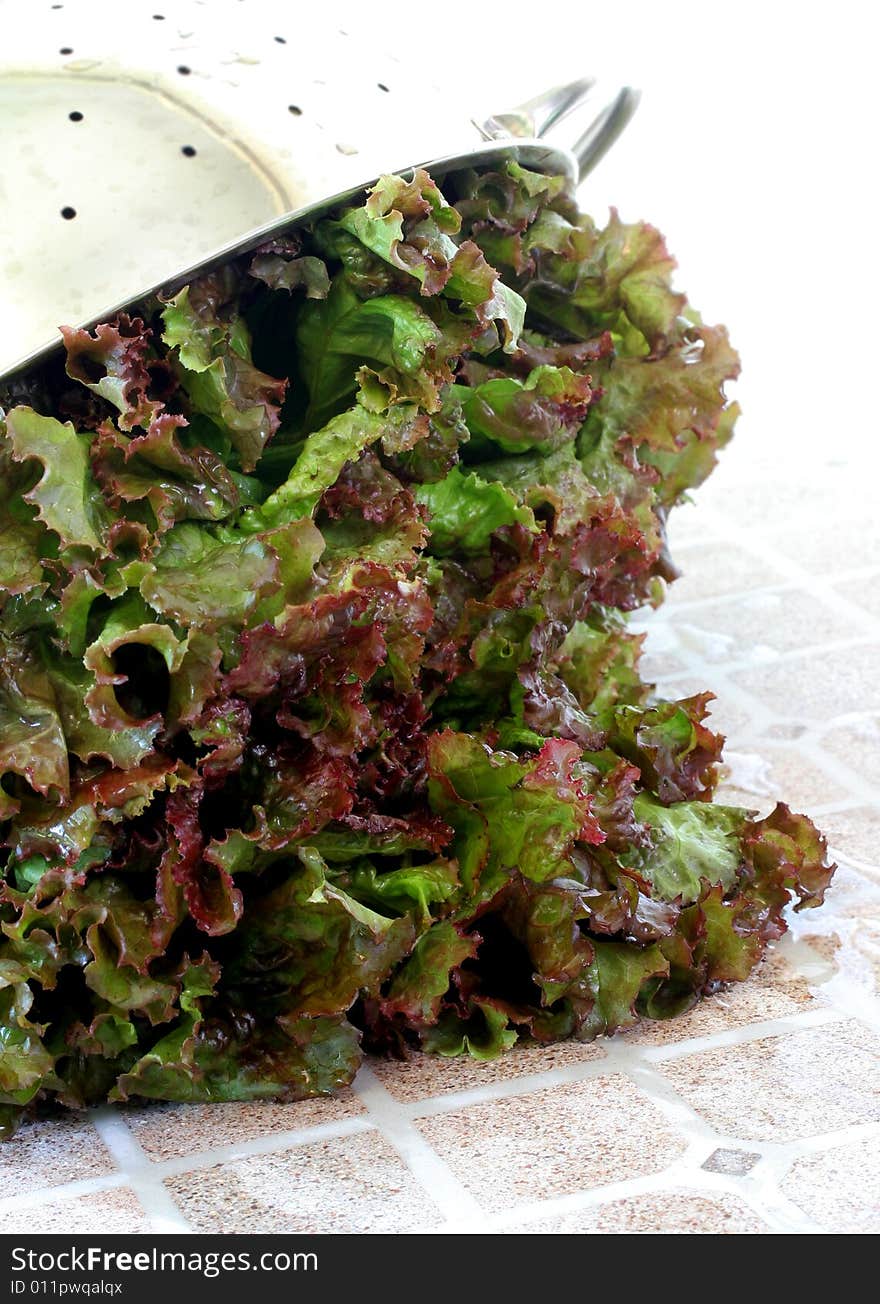 Washed Leaf Lettuce