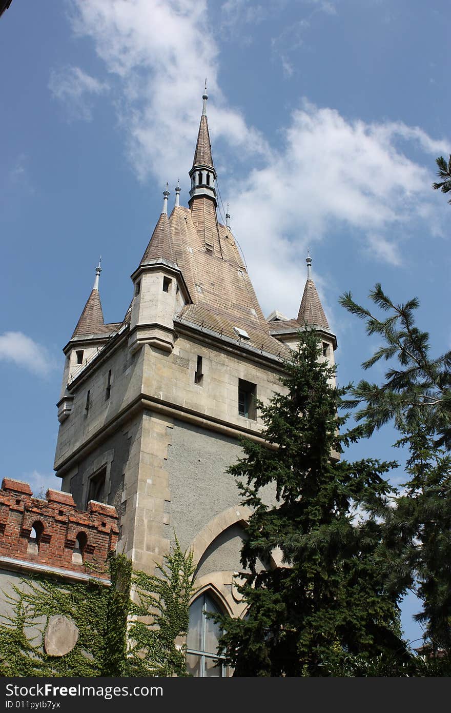 Castle of Vajdahunyad with blue sky and trees