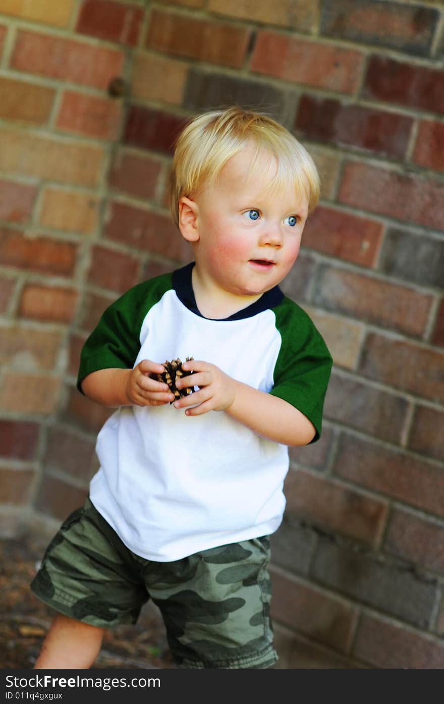 A little boy outside with a pine cone he found