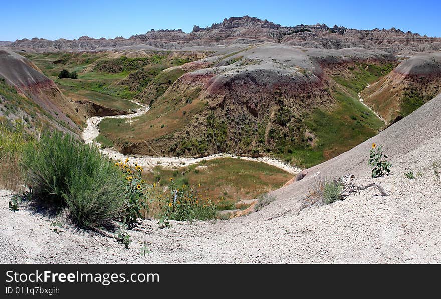 Panorama of Badlands National Park in South Dakota, USA. Mossy green growth covers the sides of the mountains. A dry river bed meanders through the mountains where sunflowers have found a home. Panorama of Badlands National Park in South Dakota, USA. Mossy green growth covers the sides of the mountains. A dry river bed meanders through the mountains where sunflowers have found a home.