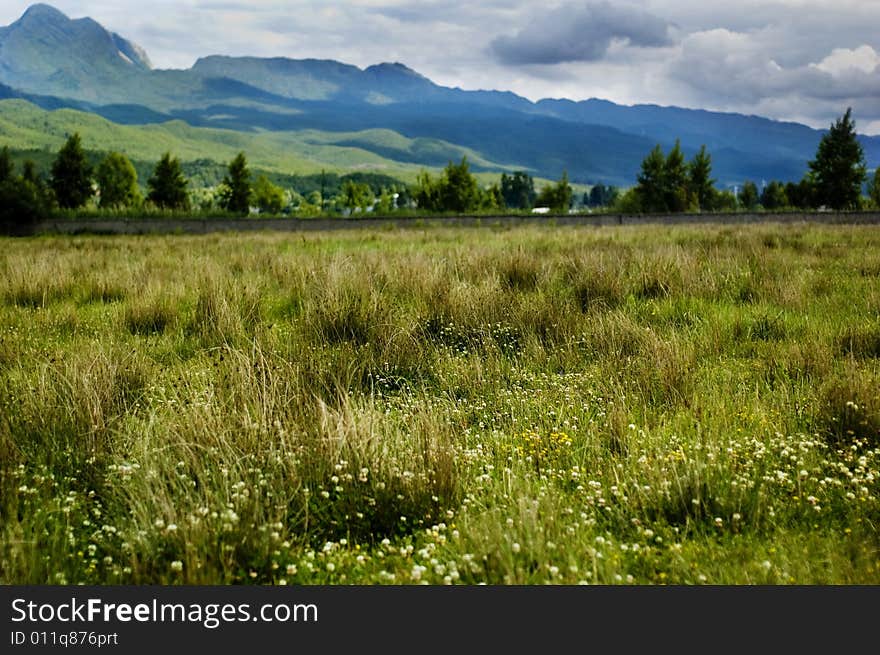 The grass field beside Lashihai