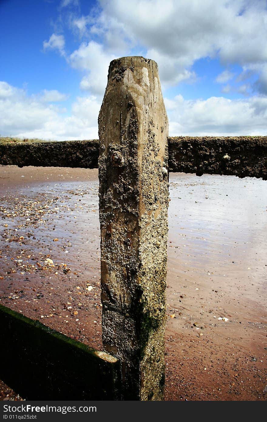 Barnacle encrusted wooden pillar on devon beach. Barnacle encrusted wooden pillar on devon beach