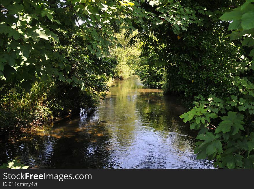 River Frome at Bradford Peveral looking from a bridge