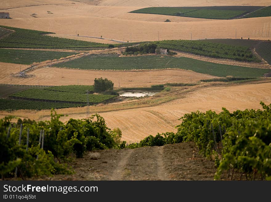 Summer In Sicily: Dawn On Jato Valley