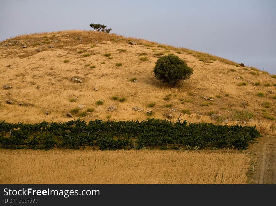 Summer in Sicily: Dawn on Jato Valley