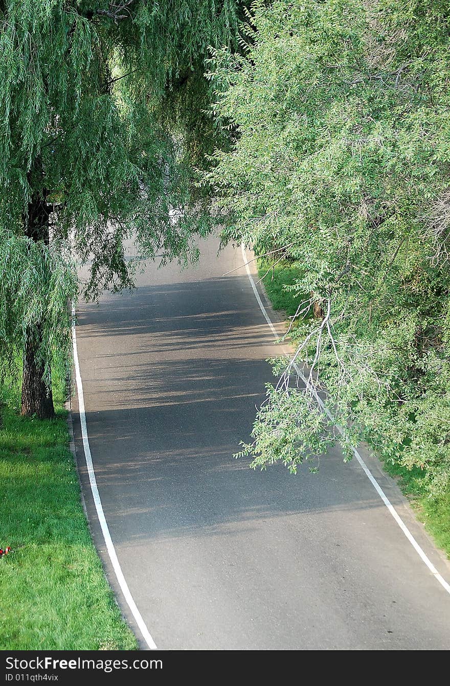 A quiet road with green trees and grass beside in summer.