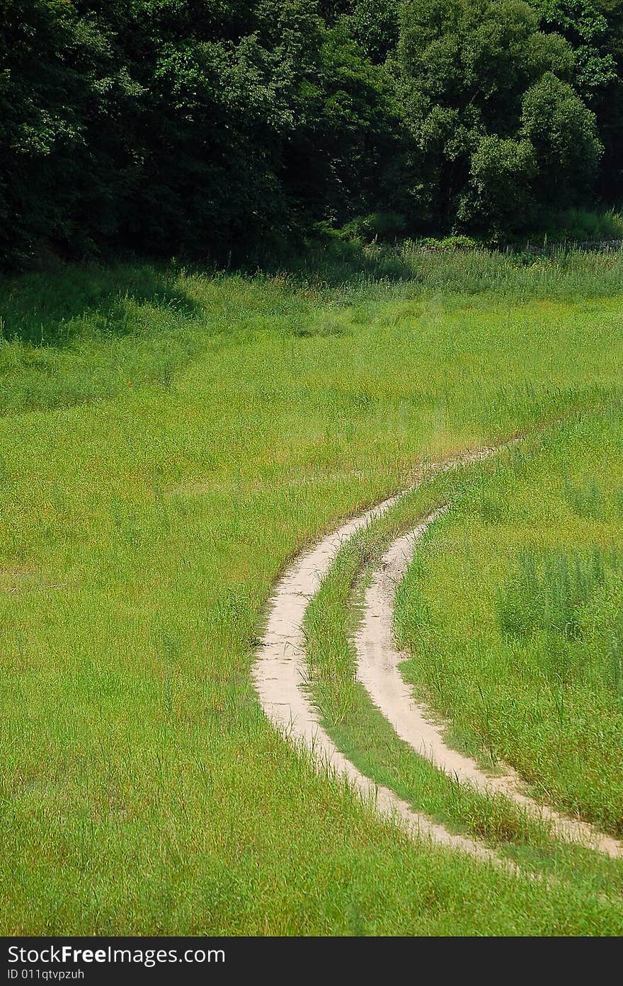 Road in grassland