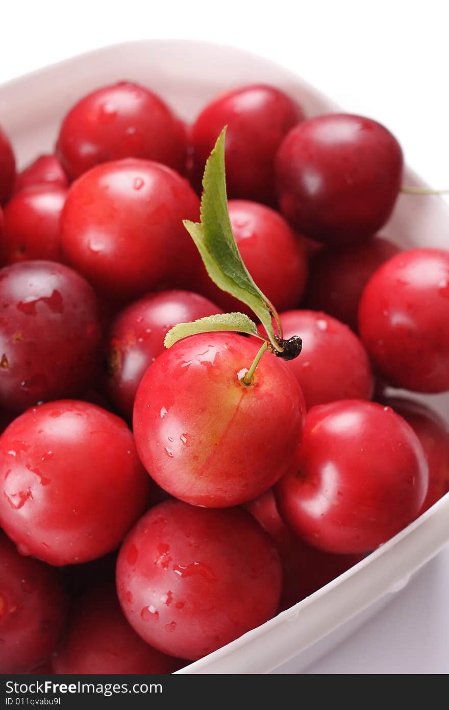 Cherry-plum.