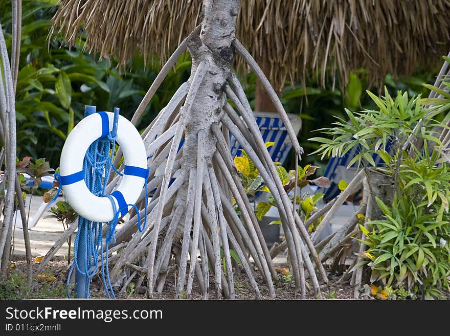 A blue and white life saver ring on a rope by a tropical pool. A blue and white life saver ring on a rope by a tropical pool