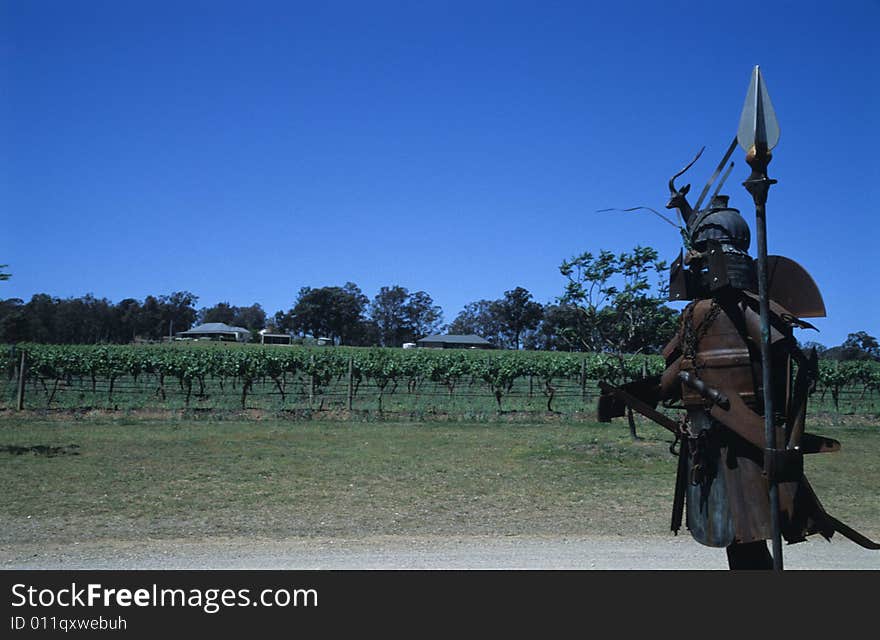 Sheet icon man and grape-trees garden