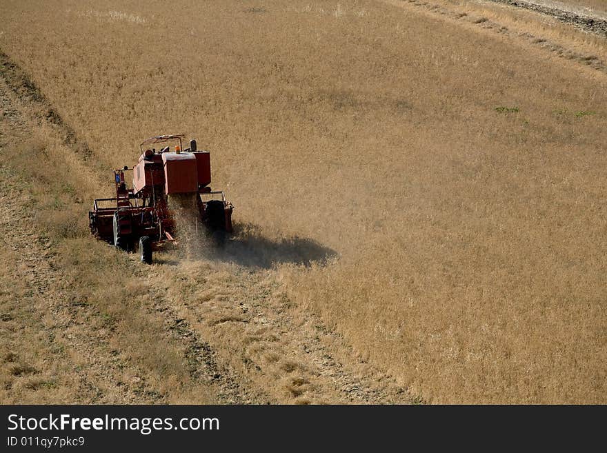 Harvest in Jato Valley (Sicily, Italy). Harvest in Jato Valley (Sicily, Italy)