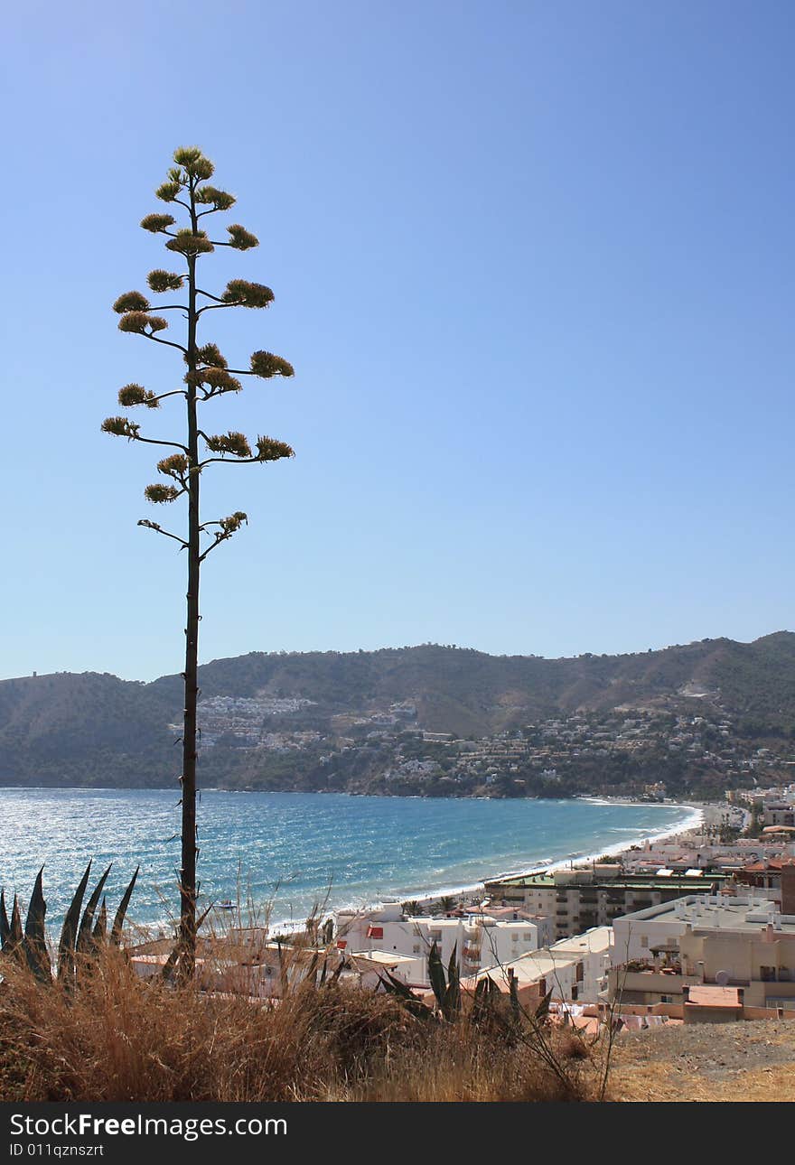 La Herradura Bay (from Punta De La Mona )