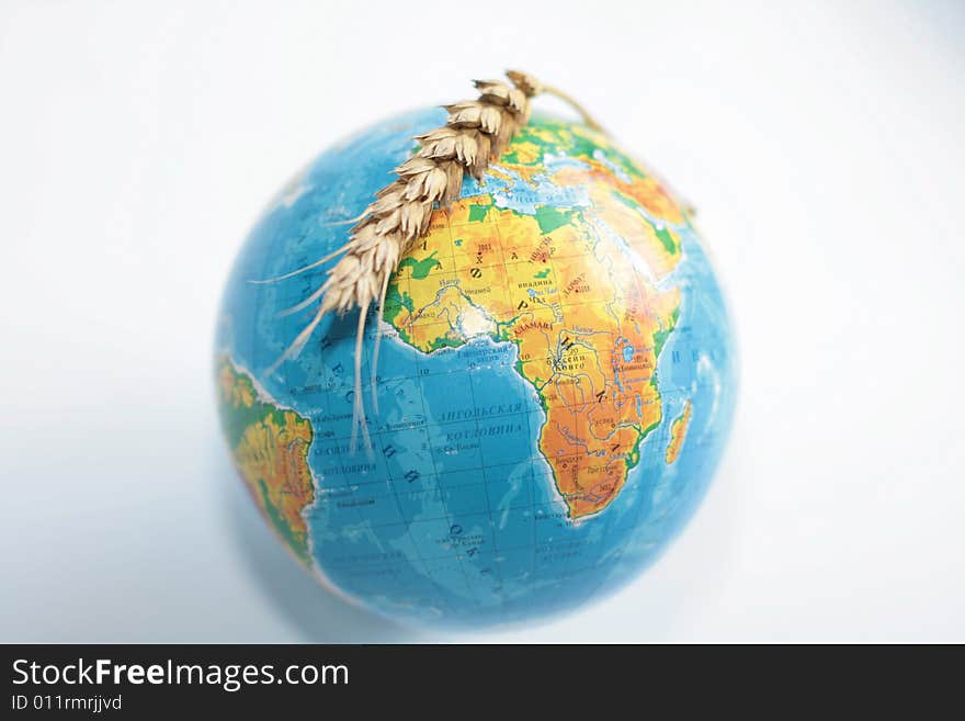 Wheaten ripe ear above the globe. Wheaten ripe ear above the globe