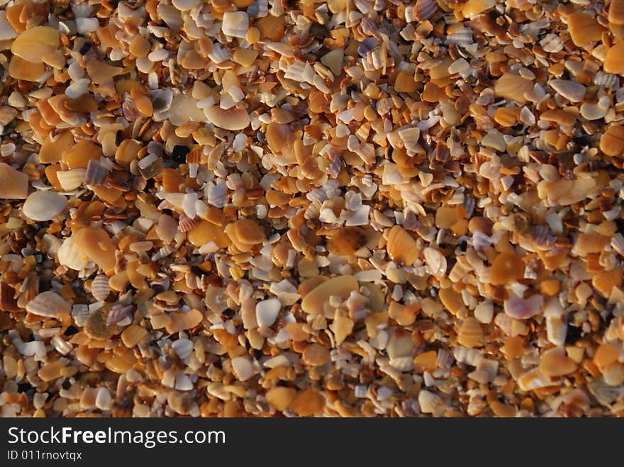 Summer beach in the evening. Summer beach in the evening