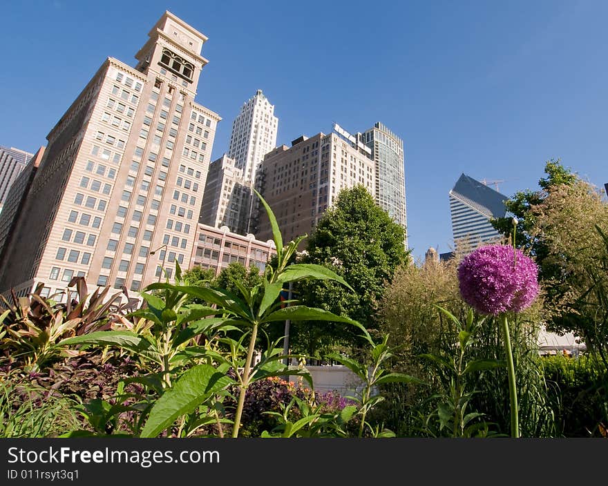 Chicago skyline and garden