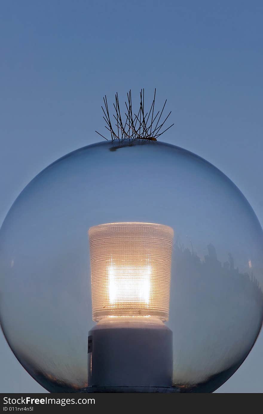 Large glass ball on outdoor lamp with bird spikes. Large glass ball on outdoor lamp with bird spikes